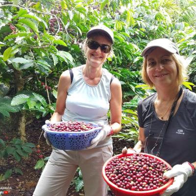 A Day in the Life: From Paris to a Coffee Farm in Vietnam's Central Highlands